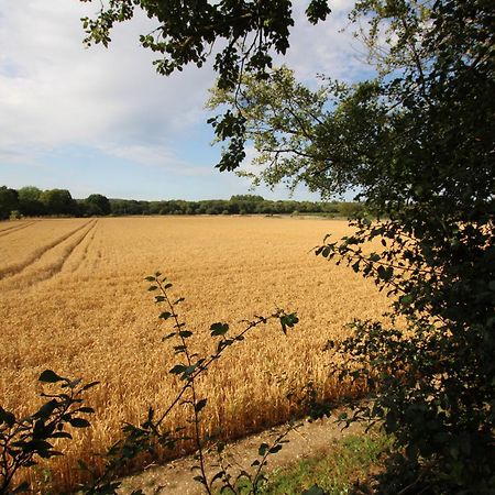Cowslip Barn Annexe, Countryside Stay Near Чичестър Екстериор снимка