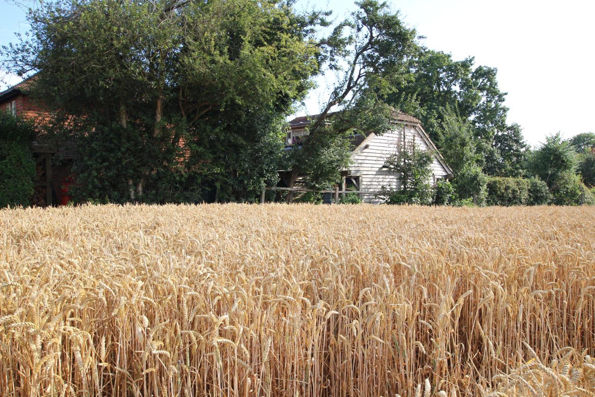 Cowslip Barn Annexe, Countryside Stay Near Чичестър Екстериор снимка